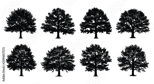 Foto Tree silhouettes on a white background a collection of leafy shapes