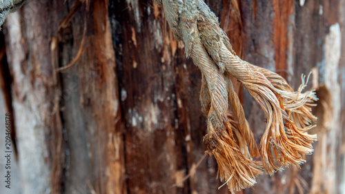 Frayed Old Hemp Rope Tied Around a Weathered Textured Wooden Post Outdoors