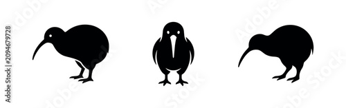 Fotografie Kiwi bird icons set