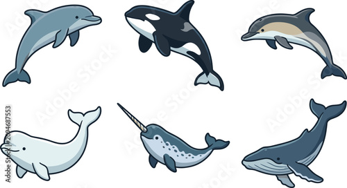 Photos Marine mammals cartoon vector illustration collection featuring dolphin, orca, b
