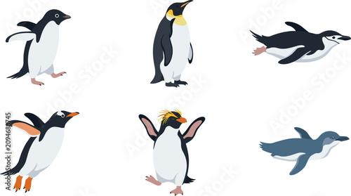 Obraz na plátně Penguin cartoon vector illustration collection featuring emperor, gentoo, rockho
