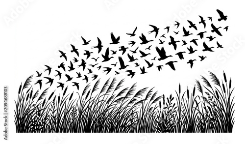 Canvas Print Minimal flock of birds and tall grass silhouette vector illustration isolated on