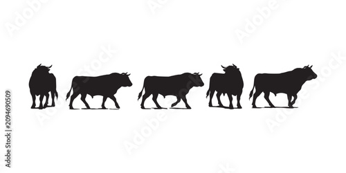 Bull herd silhouette set. A group of cattle and bull silhouettes isolated on white background, ideal for livestock, ranch, farm, and animal design projects.
