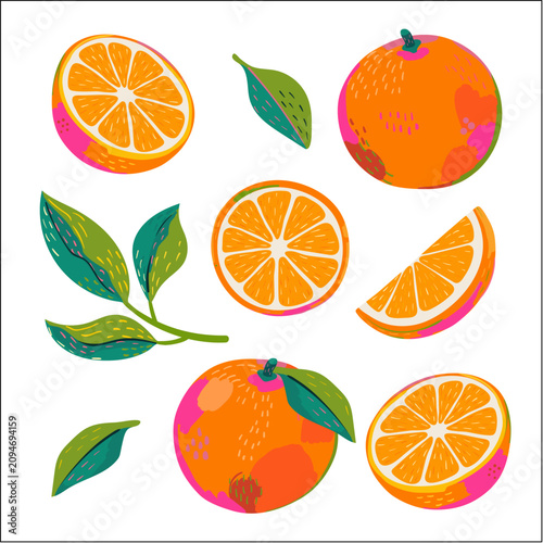 Orange fruit illustration. Vector set of hand drawn doodle sliced fruits
