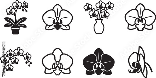 Quadro su tela Set of eight elegant orchid flower illustrations in black and white Vector