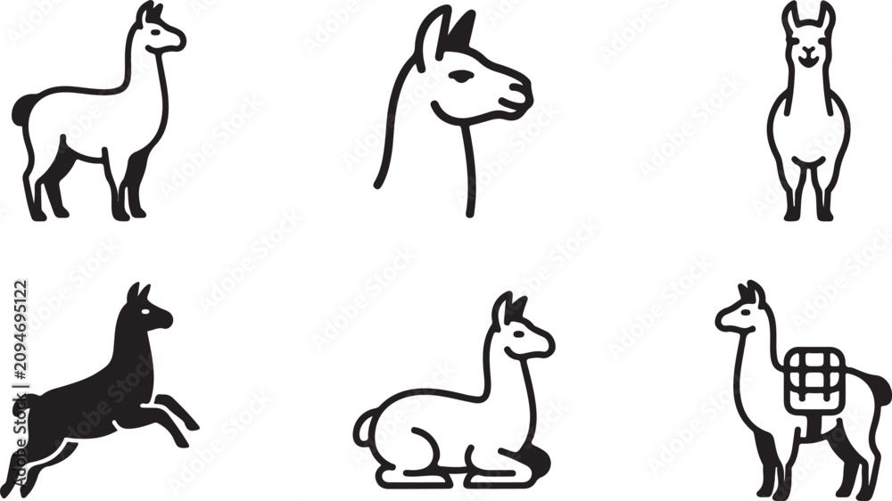 Fototapeta premium Six different llama and alpaca vector icons in simple line art style Vector