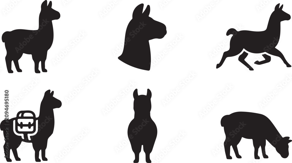 Fototapeta premium Black silhouette llamas and alpacas in various poses Vector