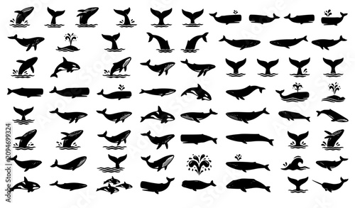 Photos Whale Tail and Breaching Whale Black Silhouette Icon Collection