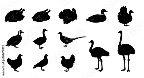 Fotografía Poultry and game bird farm animal silhouettes set.