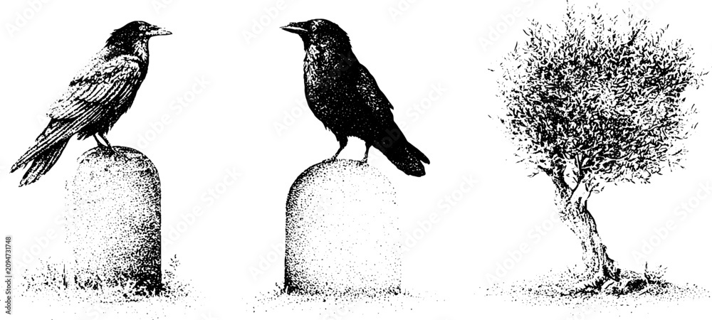Obraz premium Pair of ravens on tombstones with yew tree black and white stipple engraving illustration for gothic poster background and retro design