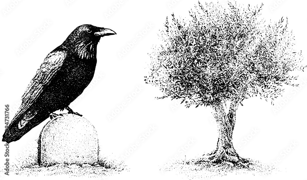 Obraz premium Single raven perched on a tombstone beside a yew tree black and white stipple engraving illustration for gothic poster background and retro design