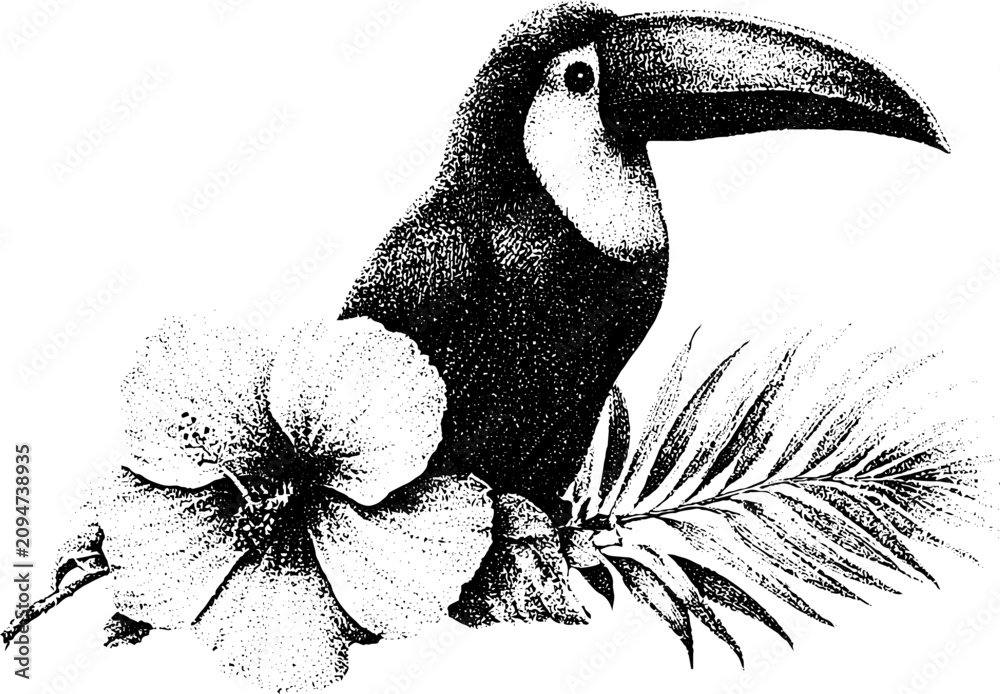 Fototapeta premium Detailed black and white stipple toucan with hibiscus and palm frond for botanical design element or tattoo flash