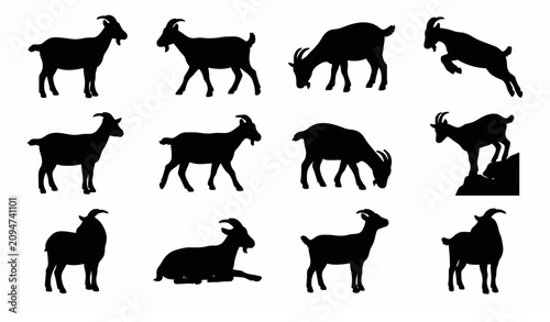 Goat Silhouette Vector Set Various Poses Black Farm Animal Collection