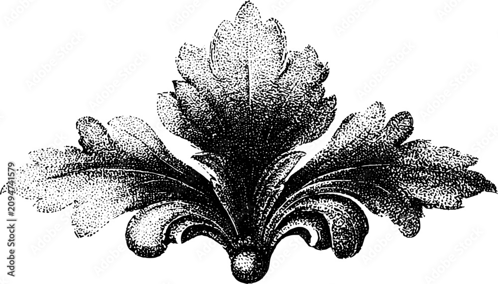 Fototapeta premium Acanthus leaf ornamental element with stippled engraving texture for decorative classic embellishment and border design