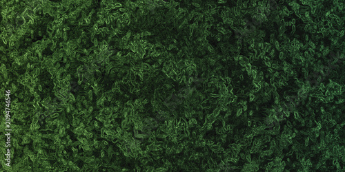 Canvastavla Green microscopic cellular structure pattern with organic fluid shapes representing biological growth or natural viral organism