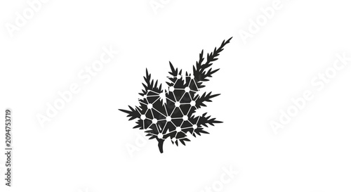 Detailed black and white juniper branch illustration.
