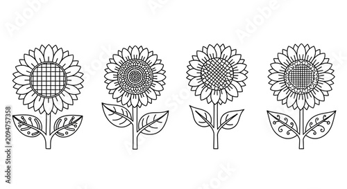 Εκτύπωση καμβά Set of four stylized sunflower line drawings with leaves and stems