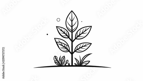 Foto Small plant with several leaves growing.