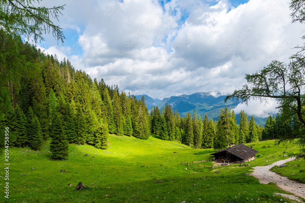 Fototapeta premium Traditional alpine hut in a green meadow in the Bavarian Alps
