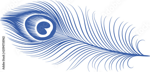 Blue peacock feather, vector illustration, elegant decorative element, ornate design