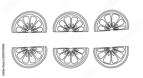 Tableau sur toile Citrus Slice Outline Vector Art