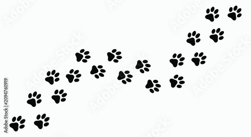 Photos Black paw prints trail across a white background silhouette style illustration