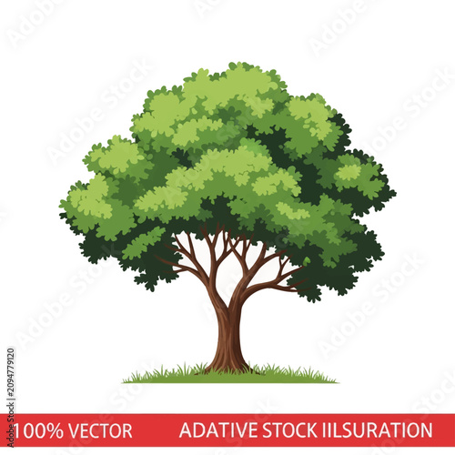 Illustration of a green deciduous tree featuring dense leafy canopy and brown wooden trunk with branches on grass patch isolated on white background for graphic design.