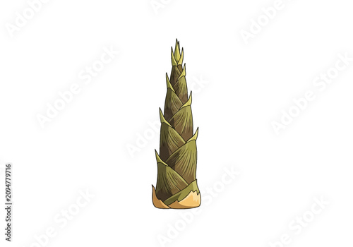 Detailed vector illustration of a fresh young bamboo shoot featuring overlapping green and brown leaf sheaths, isolated on a white background for food and nature design projects.
