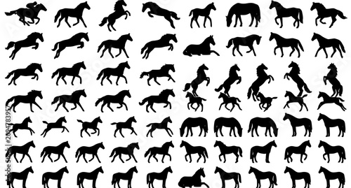Foto Black Horse Silhouette Collection with Running Jumping Grazing and Standing Equi
