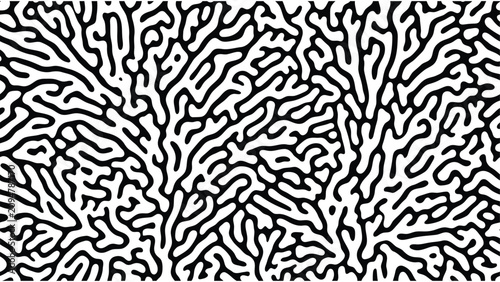 Abstract organic pattern background. Black and white maze texture. Modern fluid lines design graphic.