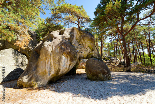 Heatwave and  the Elephant at Larchant. Fontainebleau massif