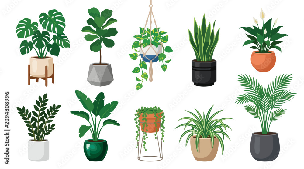 Fototapeta premium Potted houseplant collection with 10 vector illustrations, indoor tropical plants in ceramic pots, modern home garden greenery set in EPS format