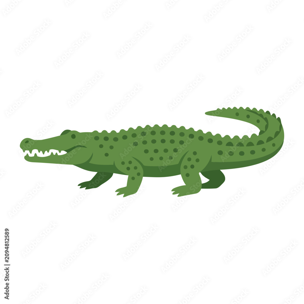 Fototapeta premium A Detailed Vector Illustration of a Green Alligator Standing Isolated on a Plain White Background