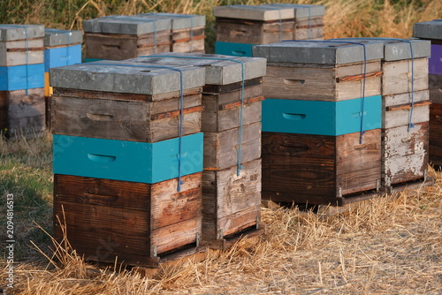 Wooden beehives - Weathered boxes - rural apiary scene at golden hour.