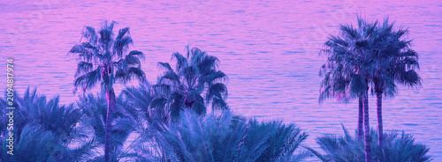 Fotografía Silhouette of palms against the sea at sunrise