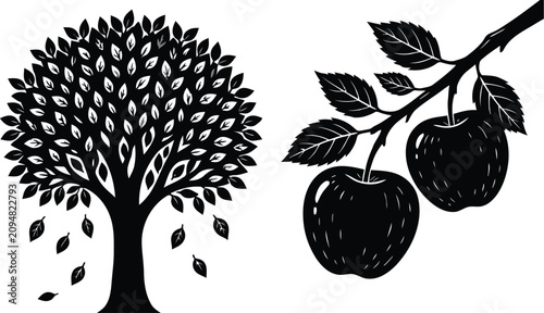Black and white apple tree with fruit illustration