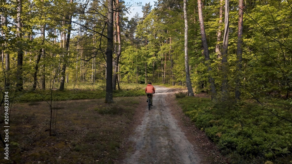 Fototapeta premium Mountain biker riding single trail through summer forest