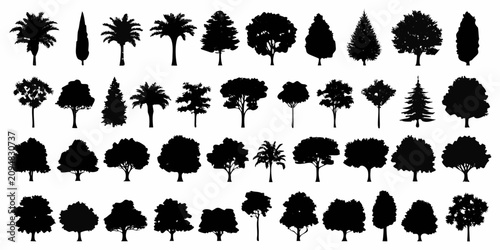 Tableau sur toile detailed black tree silhouettes on white background silhouette forest nature lan