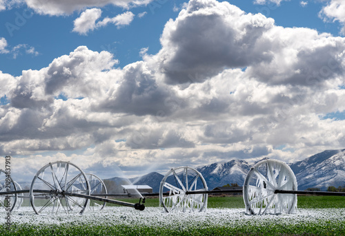 Irrigation sprinklers with ice cycles on them