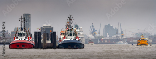 Tugboats in Waltershofer Hafen with Container Cranes Under Overcast Sky, Hamburg Germany