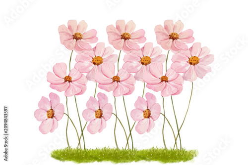Slika na platnu pink flowers on green grass