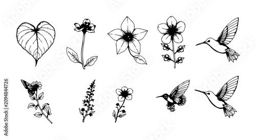Fotografie Collection of six intricate botanical and wildlife illustrations in a detailed black and white line art style, featuring a heart-shaped leaf, a star-shaped flower, a blooming flower with leaves, a