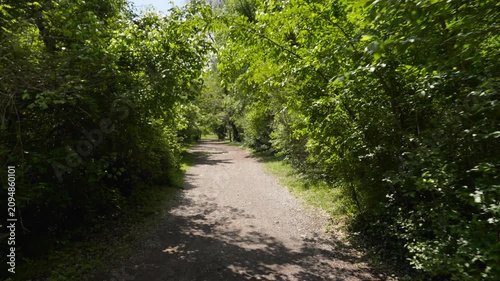 Elderly man walking alone on a path in a green forest promoting active aging