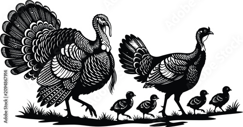 Картината върху платно Black and white illustration of a turkey family with chicks walking on grass