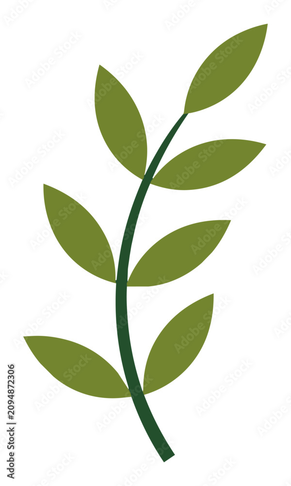 Fototapeta premium Minimalist botanical sprig with elongated leaves on a slender stem in flat solid colors isolated on white background, botanical design concept