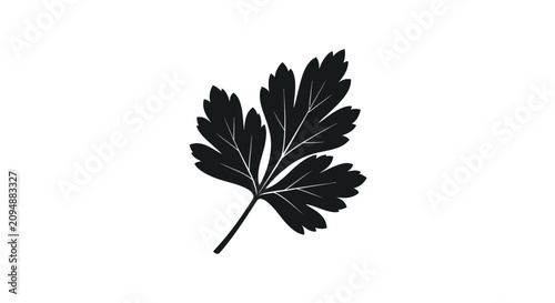Black silhouette of a leaf on white background with visible veins white graphic resource illustration element outline nature symbol botany with simple