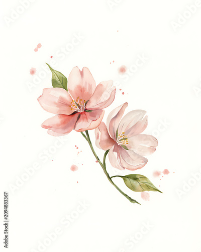 A delicate watercolor painting of two soft pink cherry blossom flowers on a branch with green leaves and light paint splatters on white paper