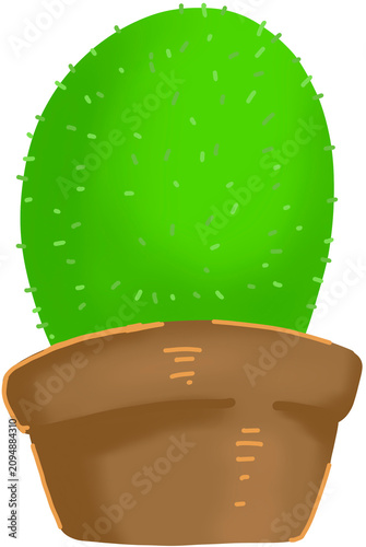 cactus in flowerpot