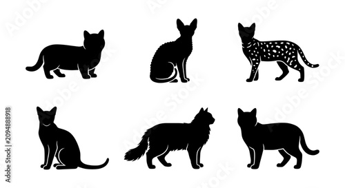 Obraz na płótnie Diverse Cat Silhouettes Collection, Six Feline Poses Vector Set, Domestic Animal