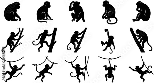 Photos Monkey silhouette collection featuring sitting climbing and swinging primate poses fifteen black vector icons for tropical jungle wildlife nature elements